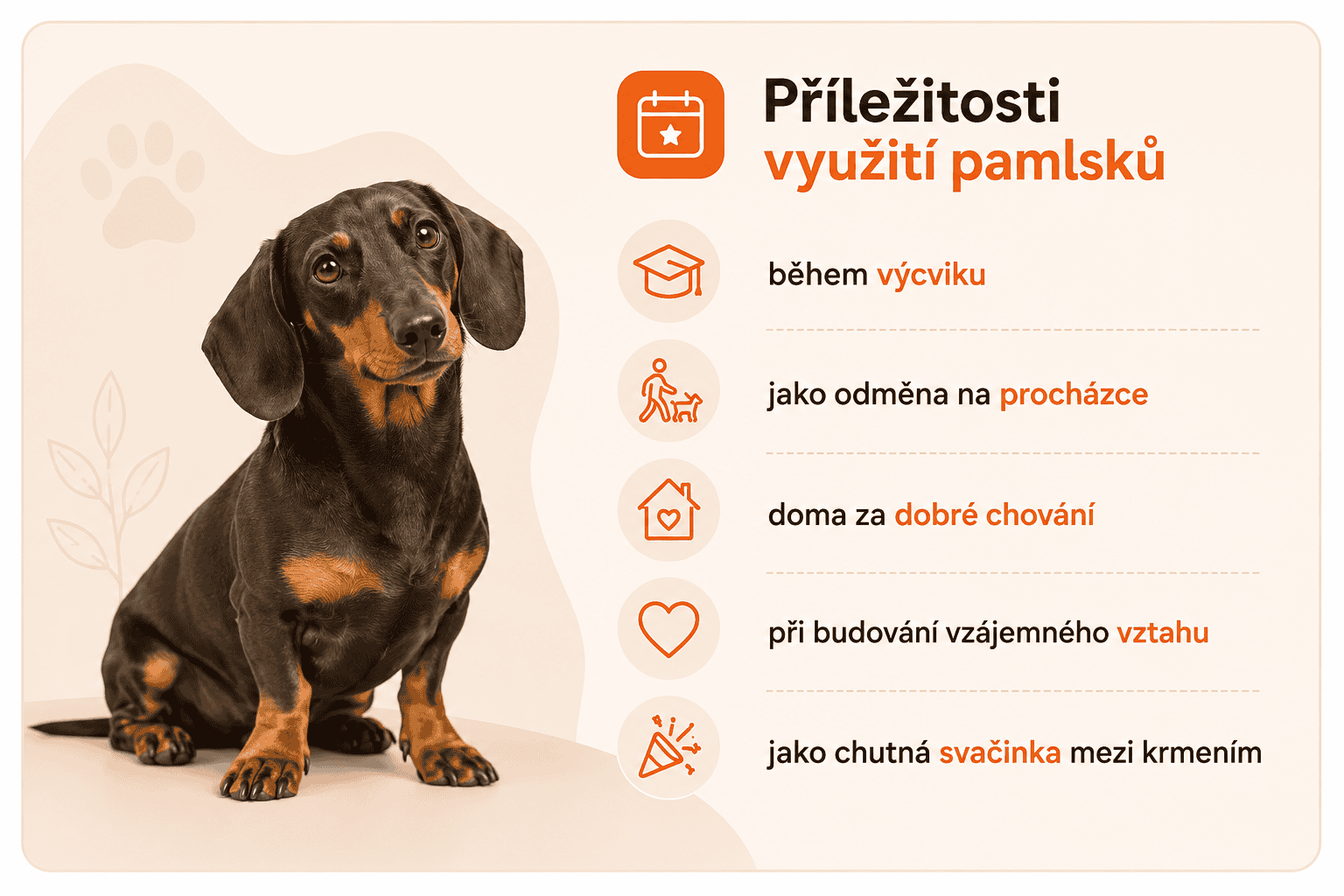 Příležitosti využití pamlsků pro psy